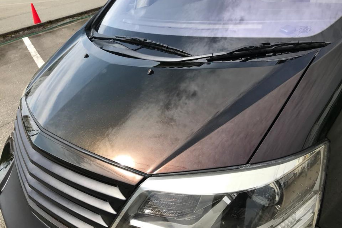 RE Works H10W Toyota Alphard
