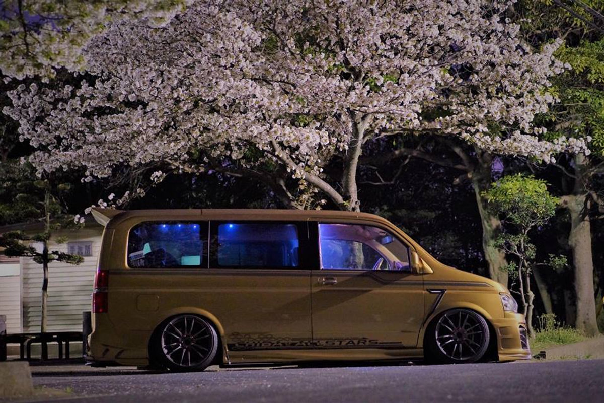 Spotlight: Sakura Stepwagon
