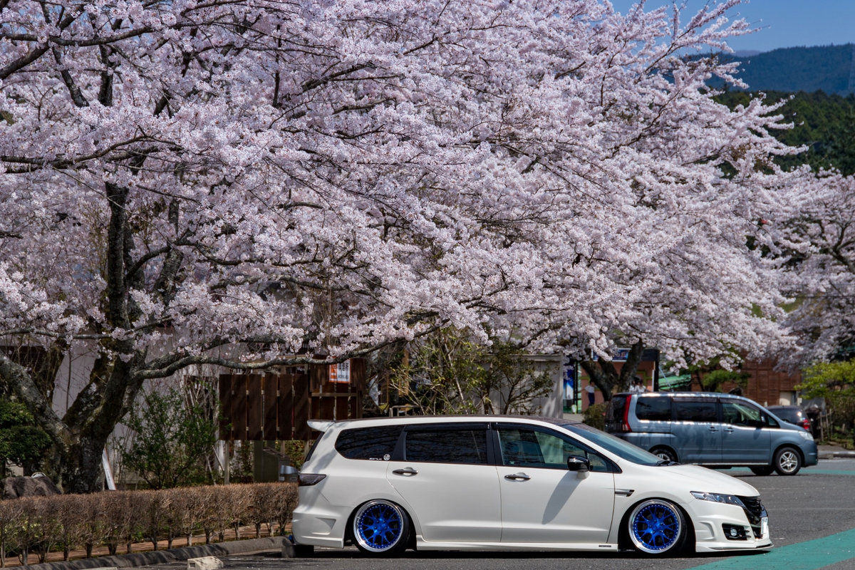 Spotlight: Sakura RB3 Honda Odyssey