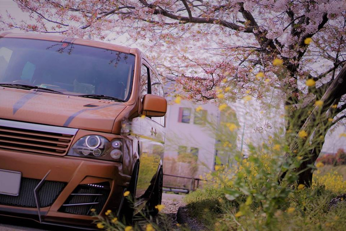 Spotlight: Sakura Stepwagon