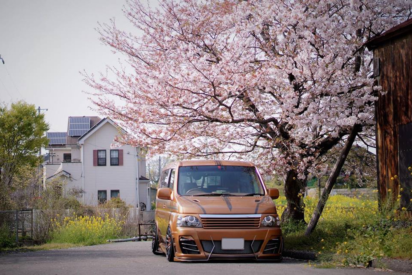 Spotlight: Sakura Stepwagon