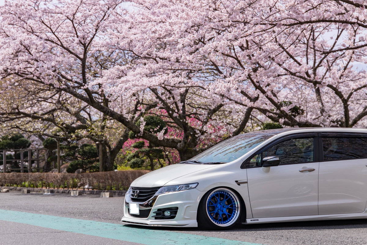 Spotlight: Sakura RB3 Honda Odyssey