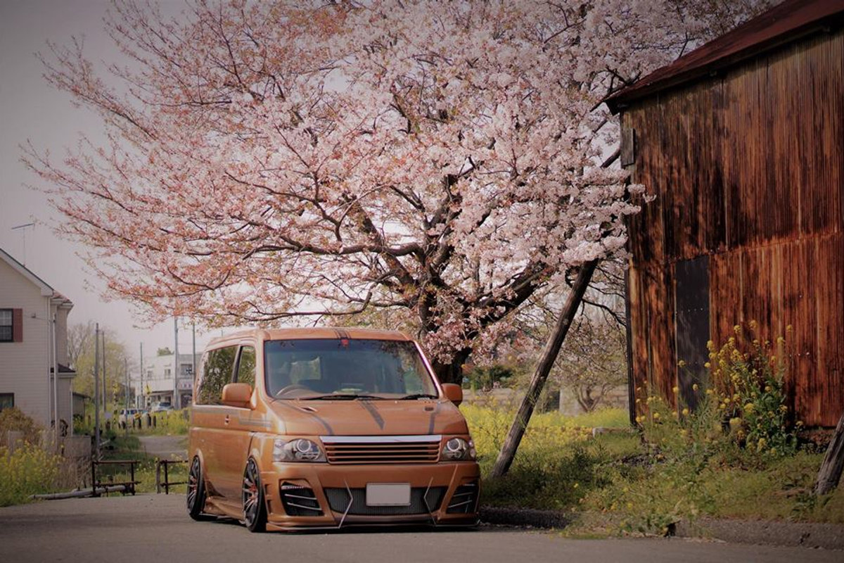 Spotlight: Sakura Stepwagon